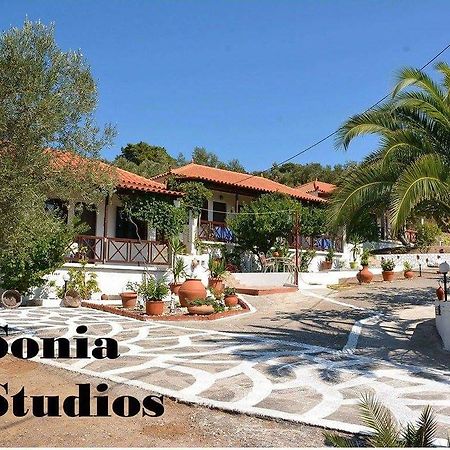 Sonia Studios Nees Kidonies Camera foto